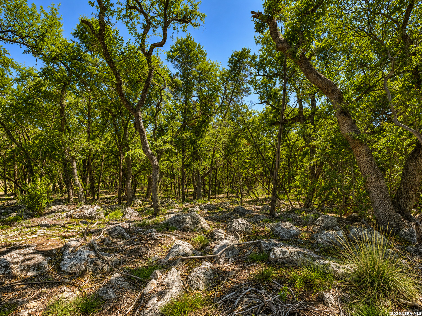 335 Serenity Pass Spring Branch TX 78070