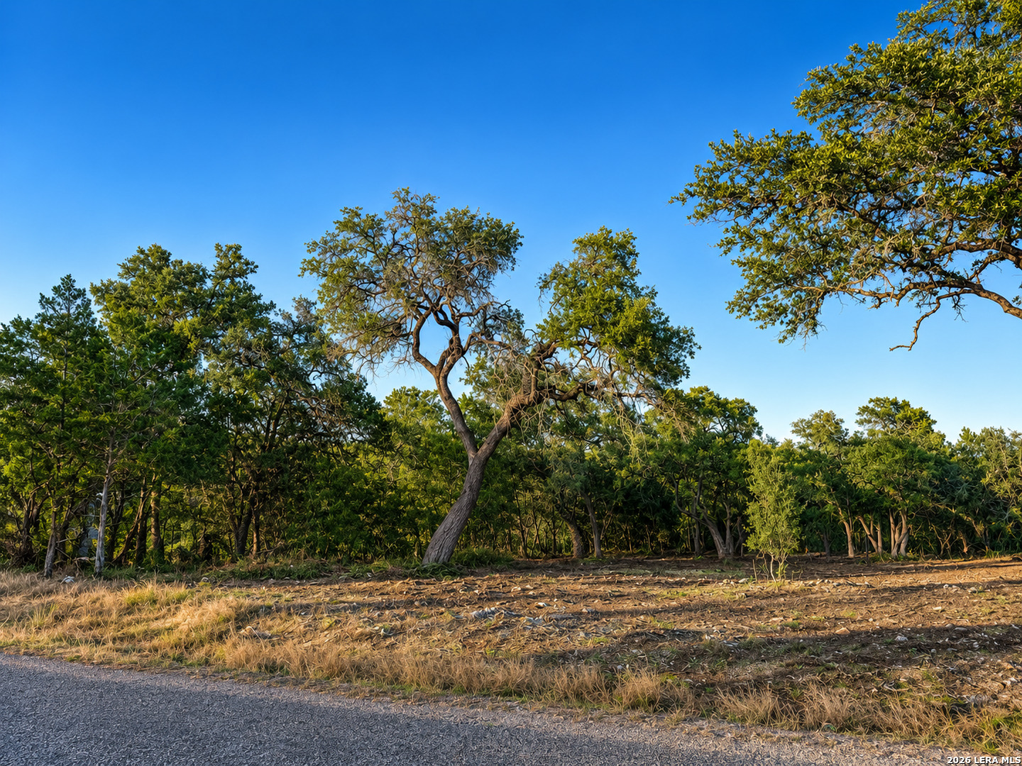 335 Serenity Pass Spring Branch TX 78070