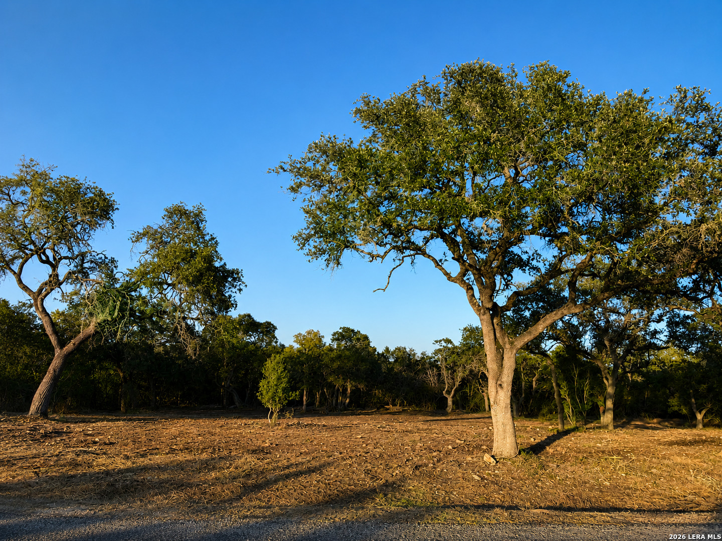 335 Serenity Pass Spring Branch TX 78070