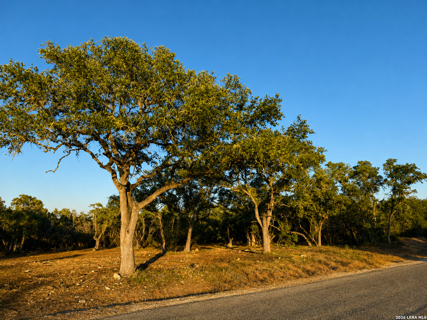 335 Serenity Pass Spring Branch TX 78070