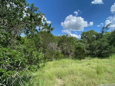 9005 Creekwood Spring Branch TX 78070