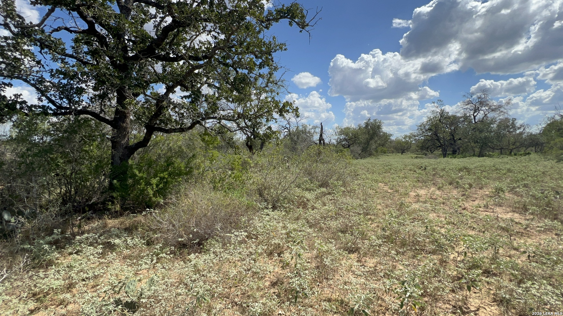 Lot 3 Bruce Road Poteet TX 78065