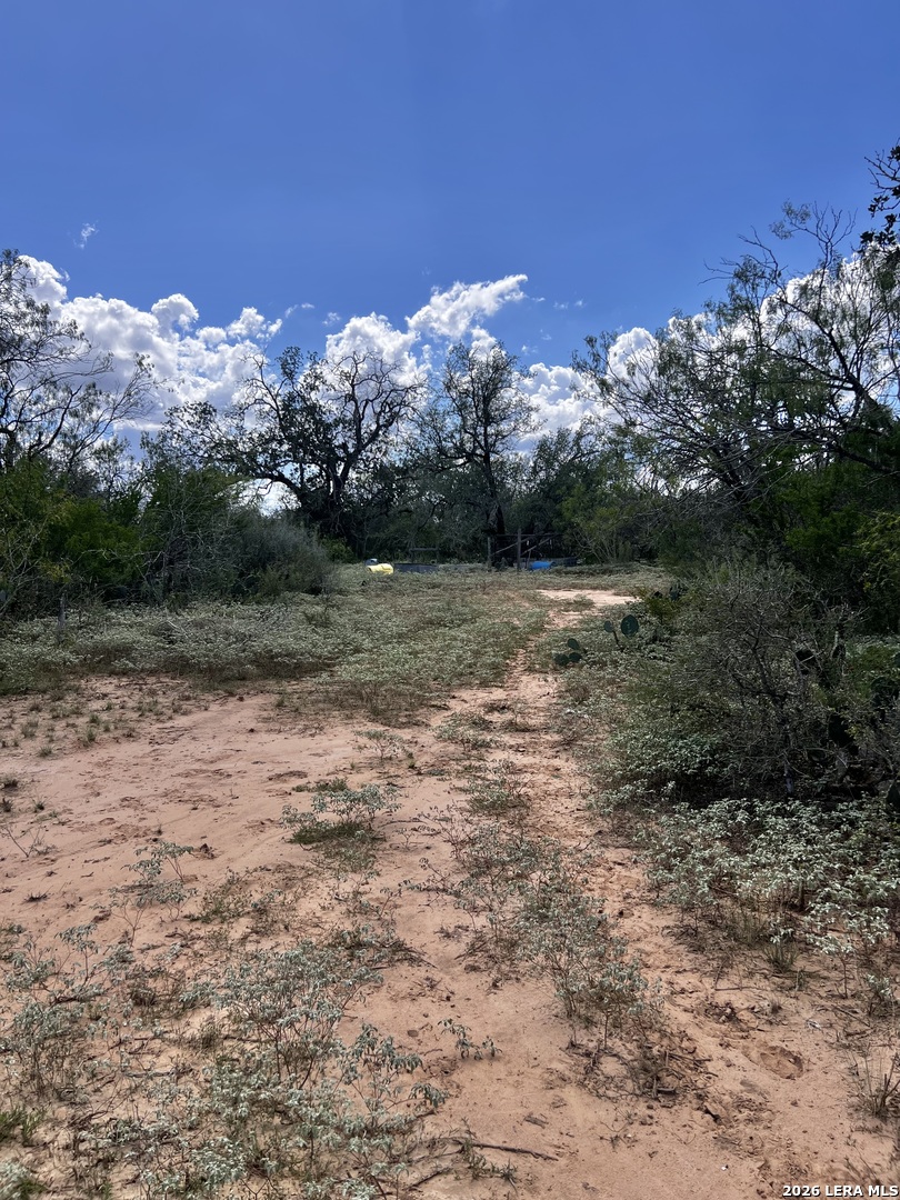 Lot 3 Bruce Road Poteet TX 78065