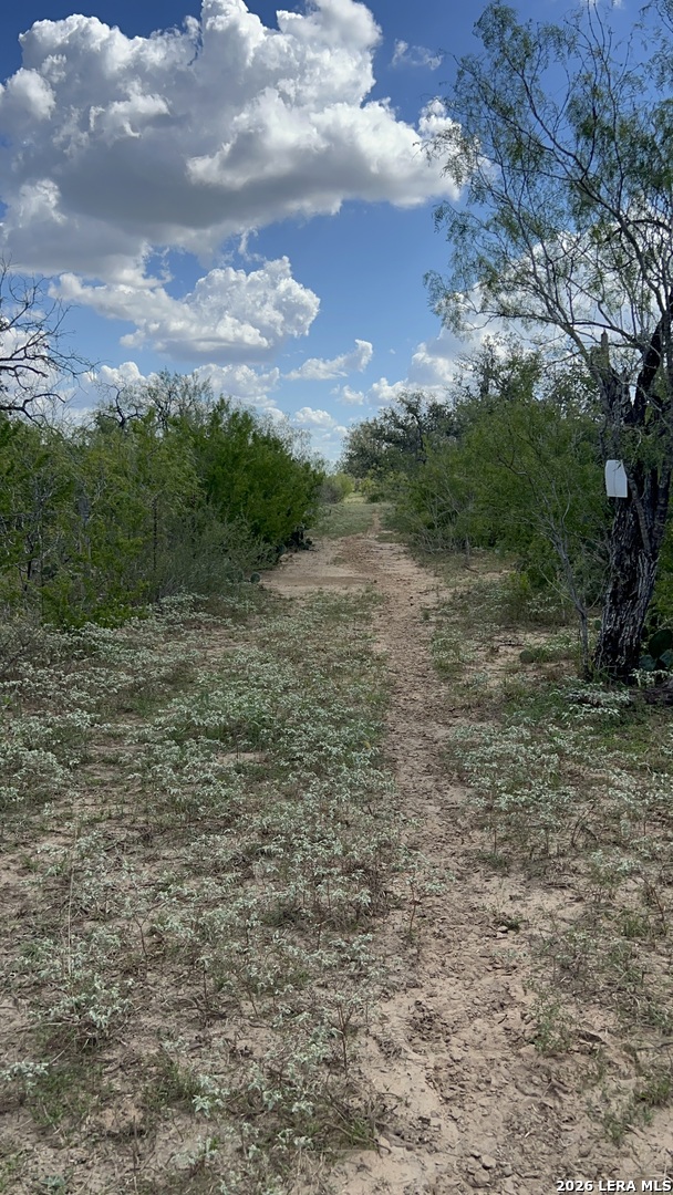 Lot 3 Bruce Road Poteet TX 78065