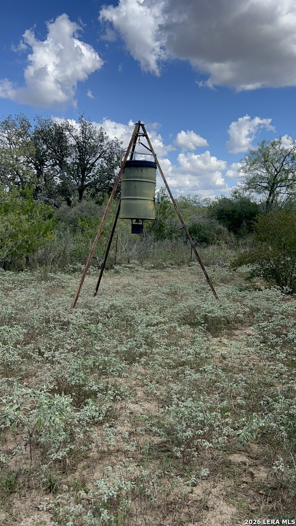Lot 3 Bruce Road Poteet TX 78065