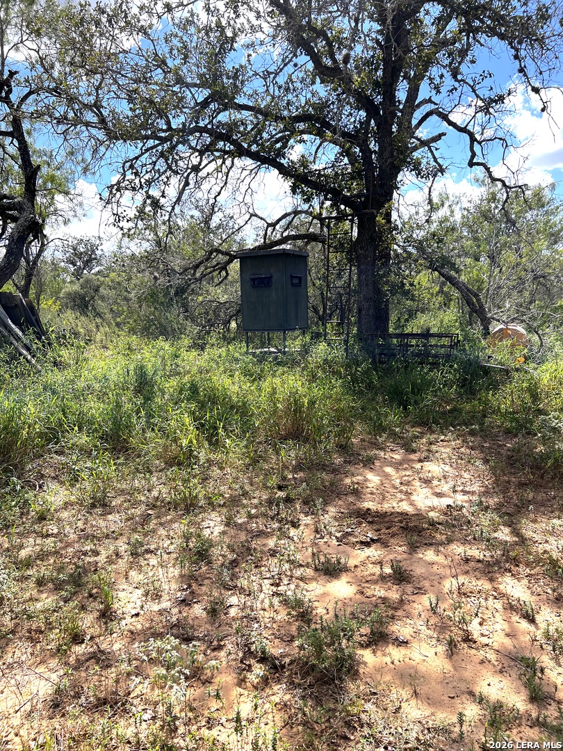 Lot 3 Bruce Road Poteet TX 78065