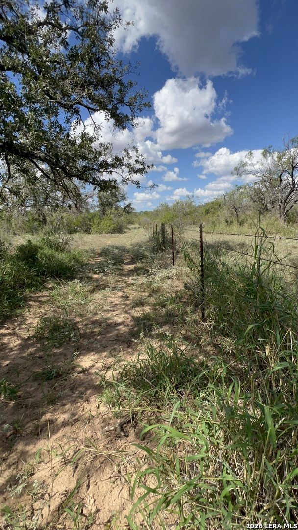Lot 3 Bruce Road Poteet TX 78065