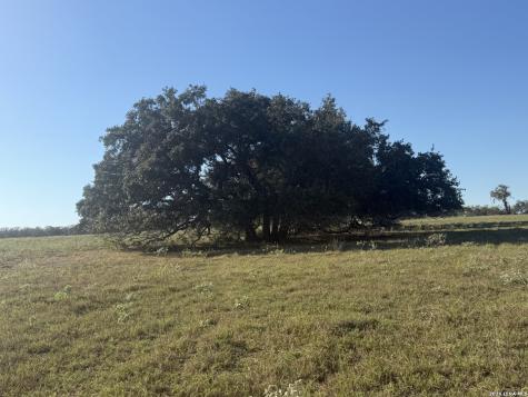 Tbd State Highway 123 S Stockdale TX 78160