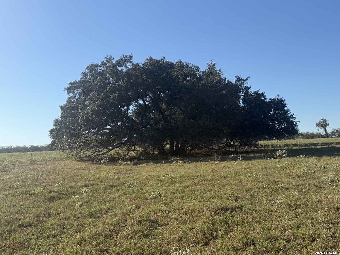Tbd State Highway 123 S Stockdale TX 78160