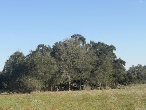 Tbd State Highway 123 S Stockdale TX 78160