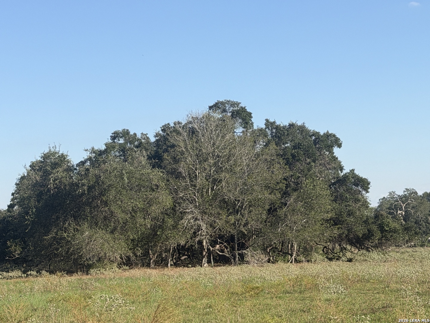 Tbd State Highway 123 S Stockdale TX 78160