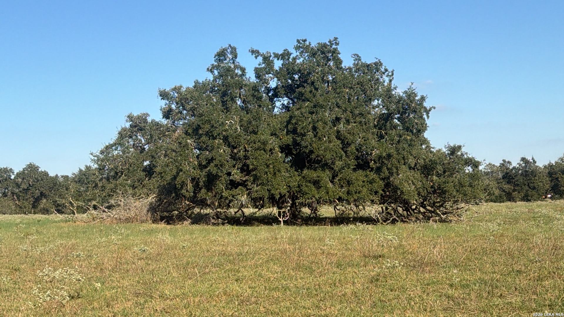 Tbd State Highway 123 S Stockdale TX 78160