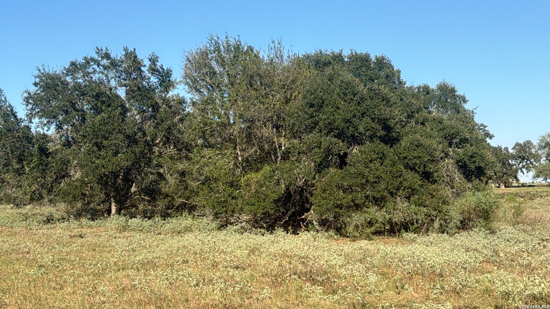 Tbd State Highway 123 S Stockdale TX 78160