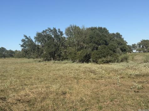 Tbd State Highway 123 S Stockdale TX 78160