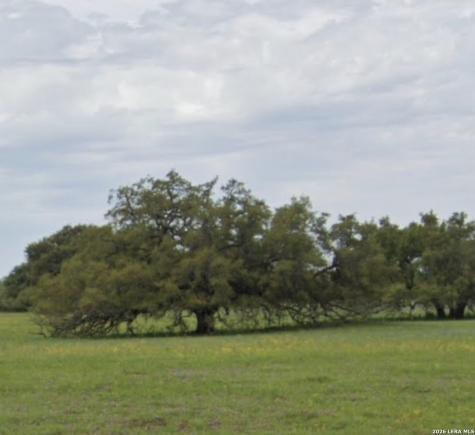 Tbd State Highway 123 S Stockdale TX 78160