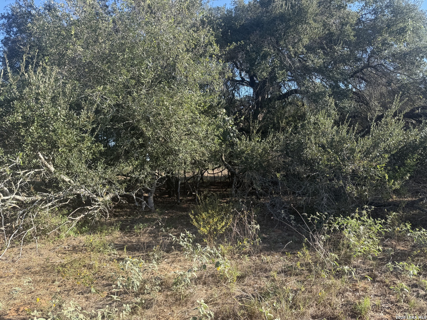 Tbd State Highway 123 S Stockdale TX 78160