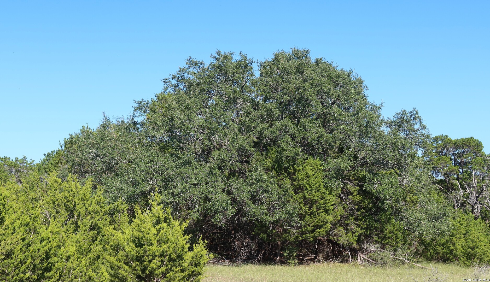 Tbd 50 Acres Wharton Dock Road Bandera TX 78003