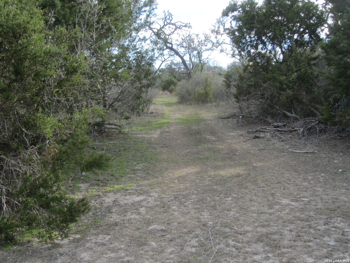 Tbd 50 Acres Wharton Dock Road Bandera TX 78003