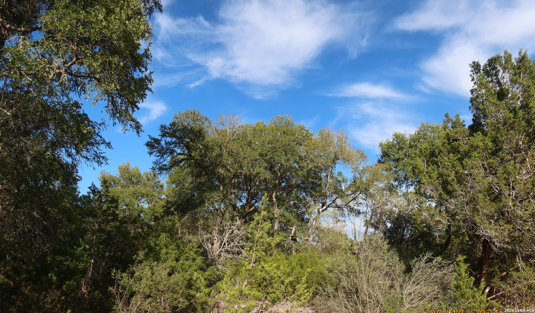Tbd 50 Acres Wharton Dock Road Bandera TX 78003