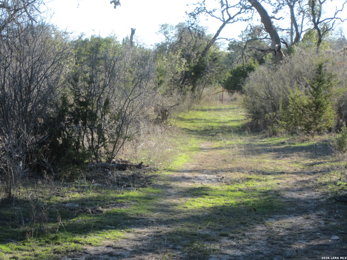 Tbd 50 Acres Wharton Dock Road Bandera TX 78003