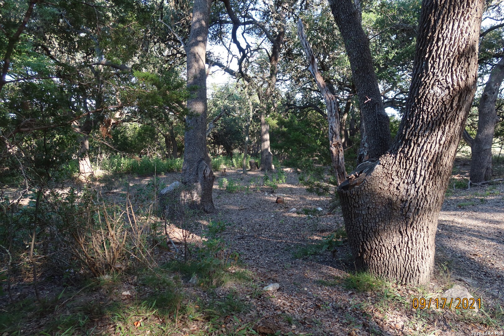 Tbd 50 Acres Wharton Dock Road Bandera TX 78003