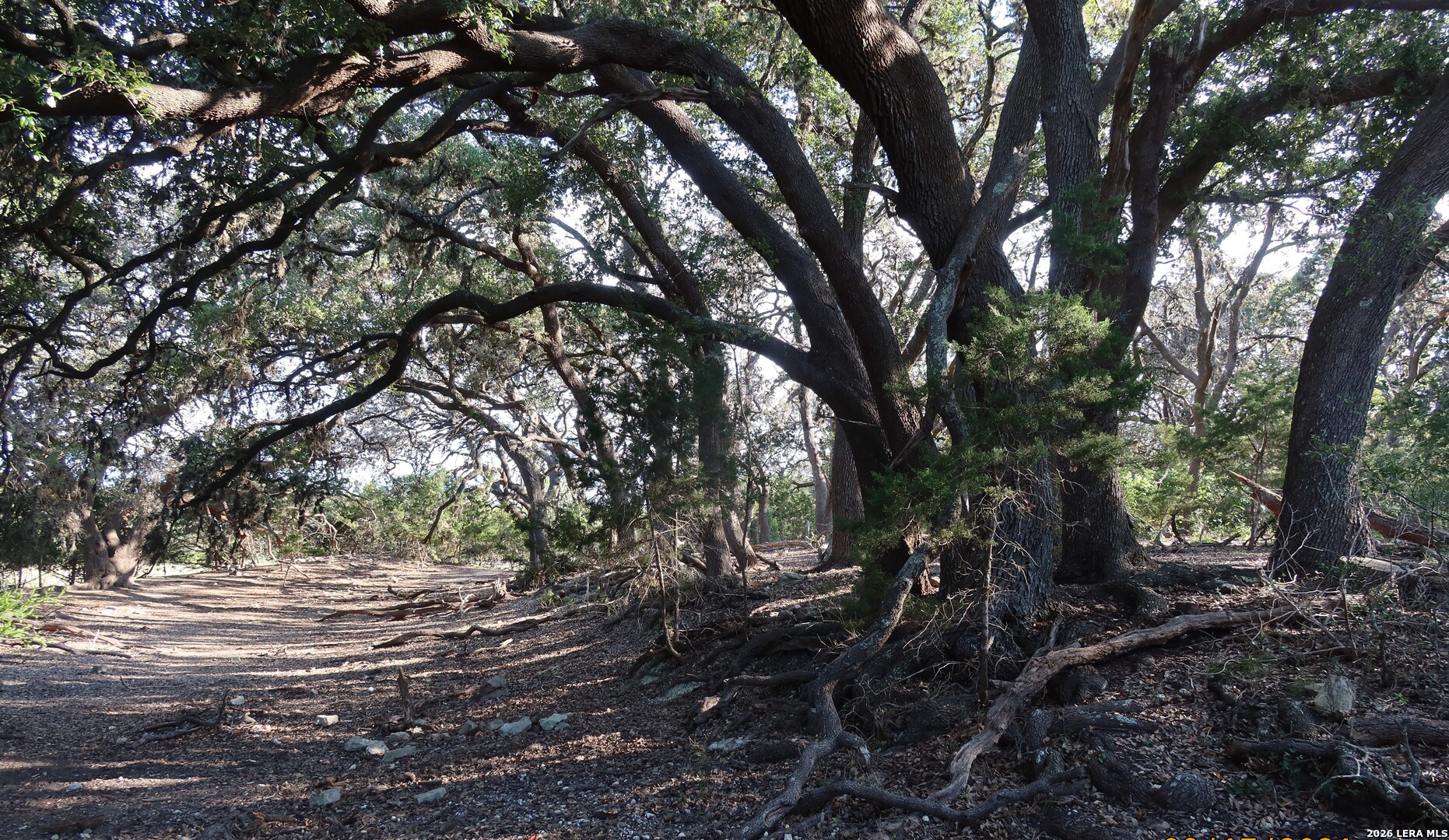 Tbd 50 Acres Wharton Dock Road Bandera TX 78003