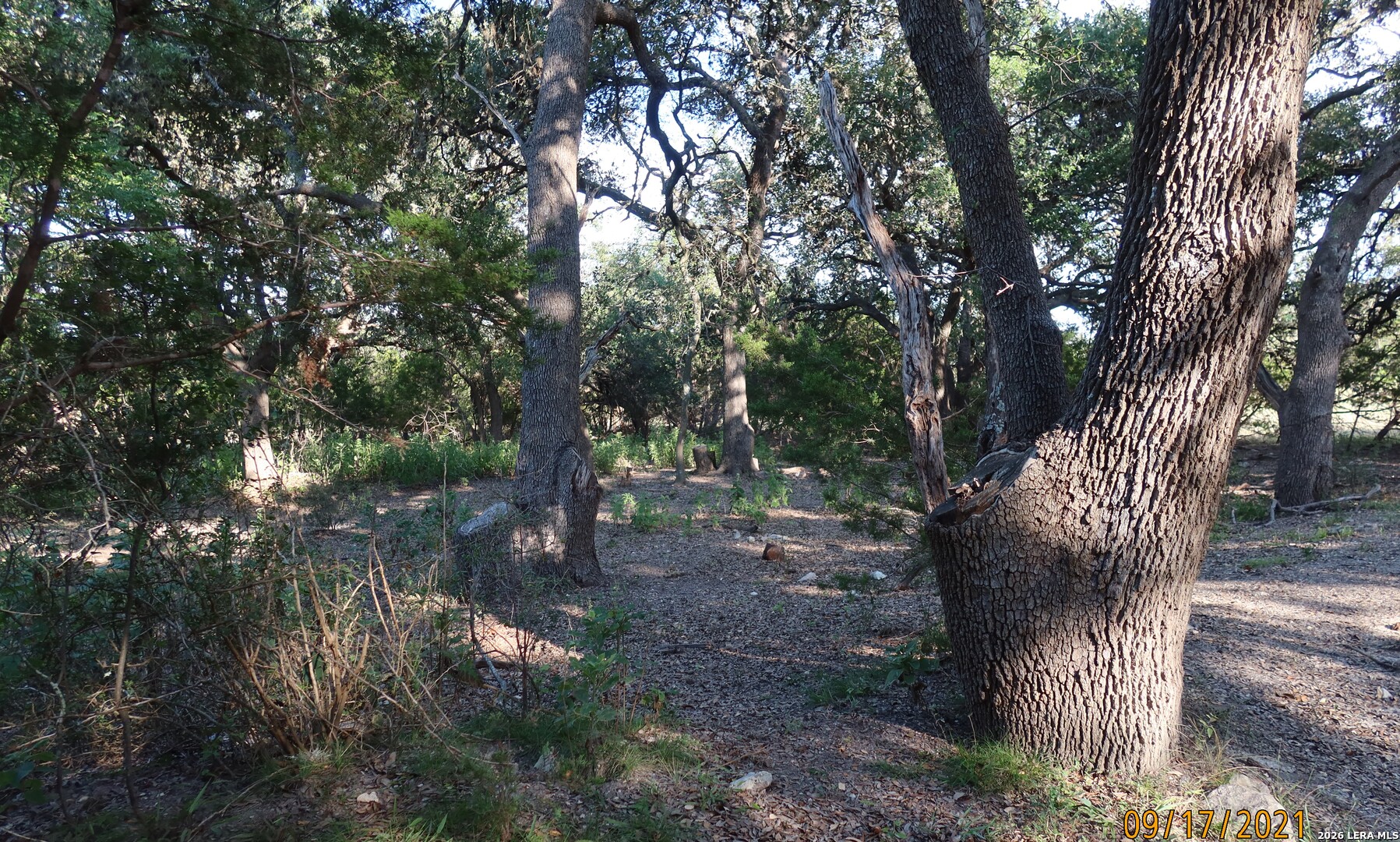 Tbd 50 Acres Wharton Dock Road Bandera TX 78003