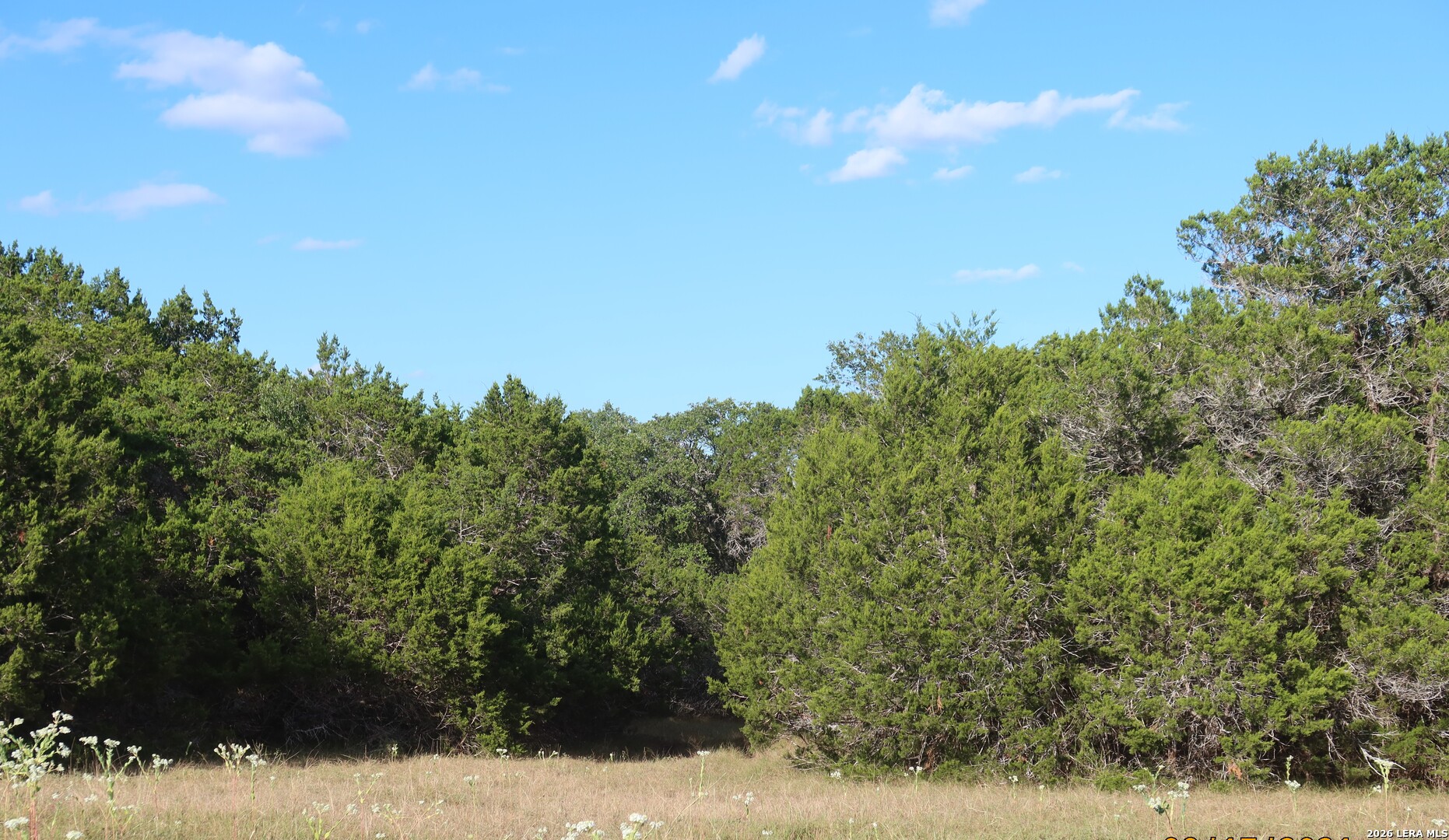 Tbd 50 Acres Wharton Dock Road Bandera TX 78003