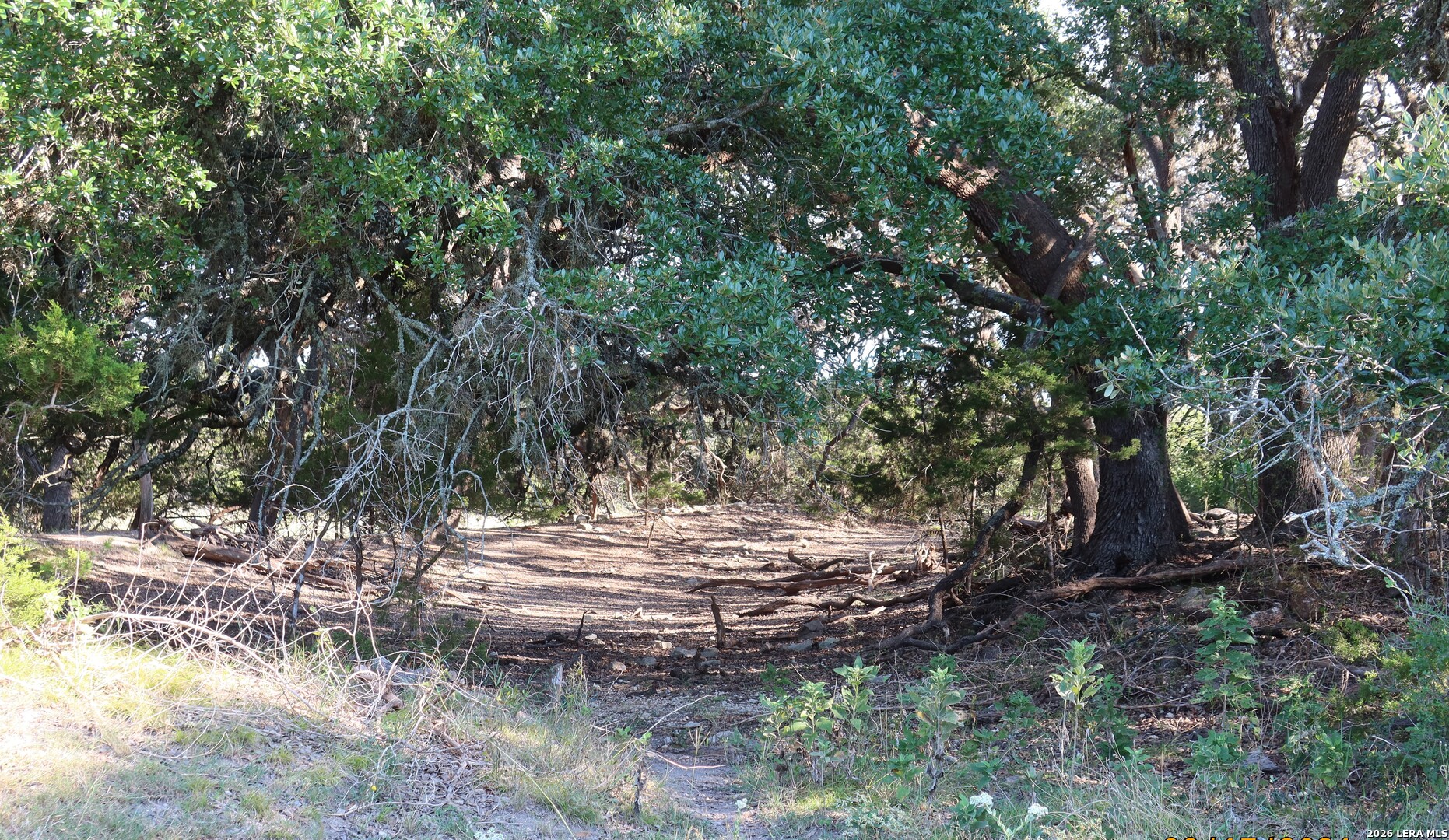 Tbd 50 Acres Wharton Dock Road Bandera TX 78003
