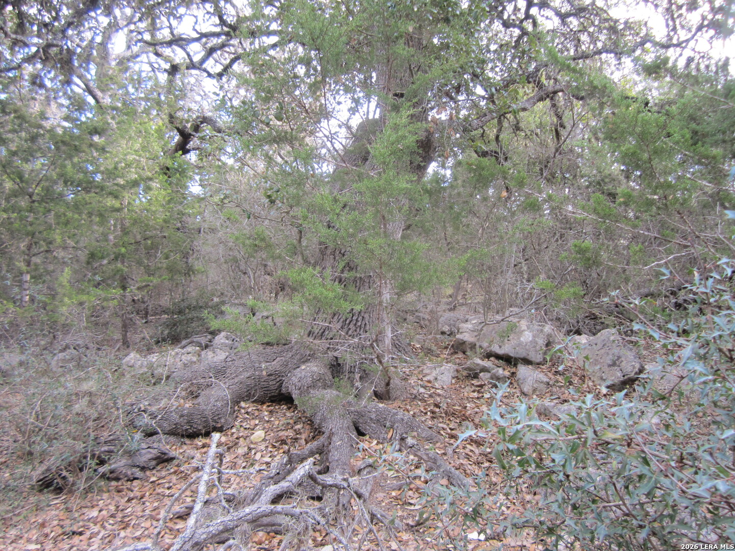 Tbd 50 Acres Wharton Dock Road Bandera TX 78003