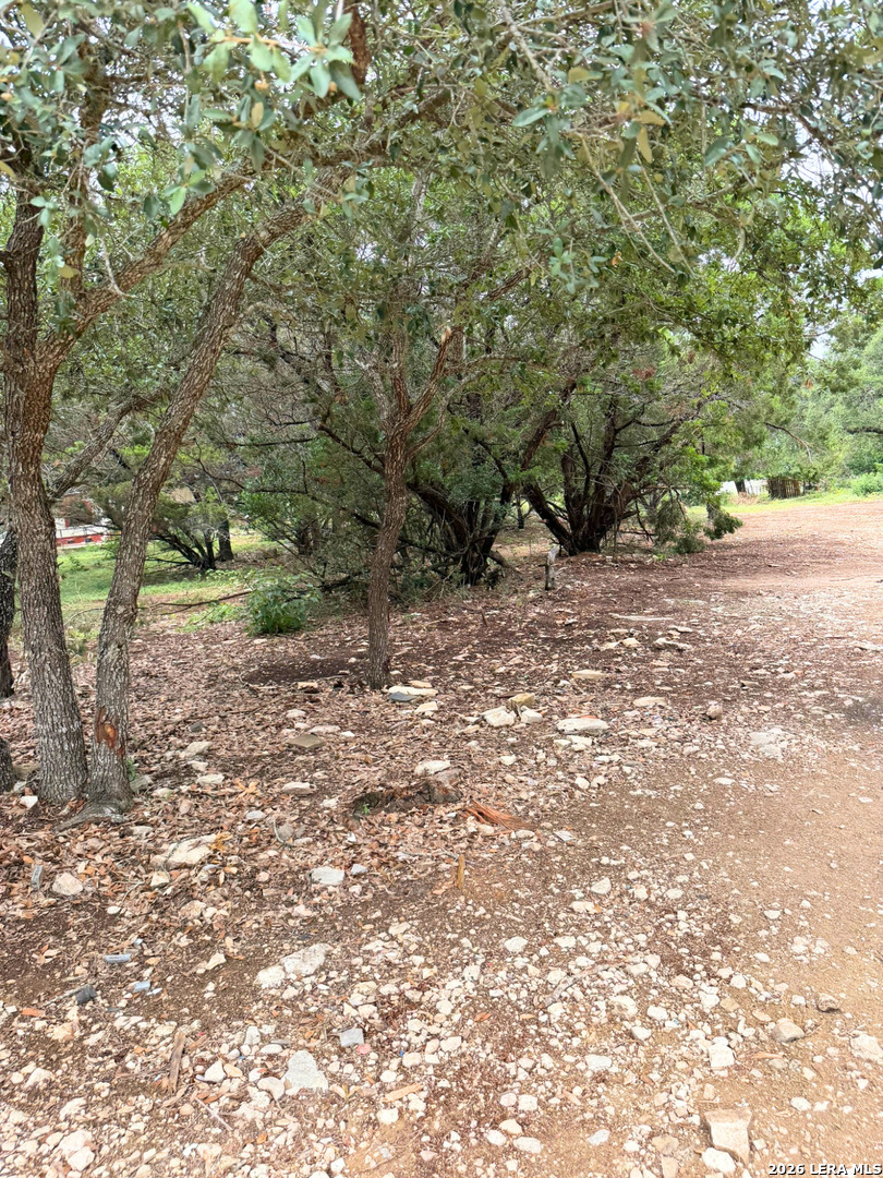 232 Sir Winston Drive Canyon Lake TX 78133