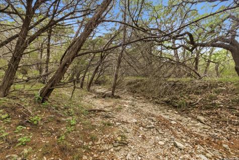 290/TBD Madrona Dr/ Madrona Pass New Braunfels TX 78132