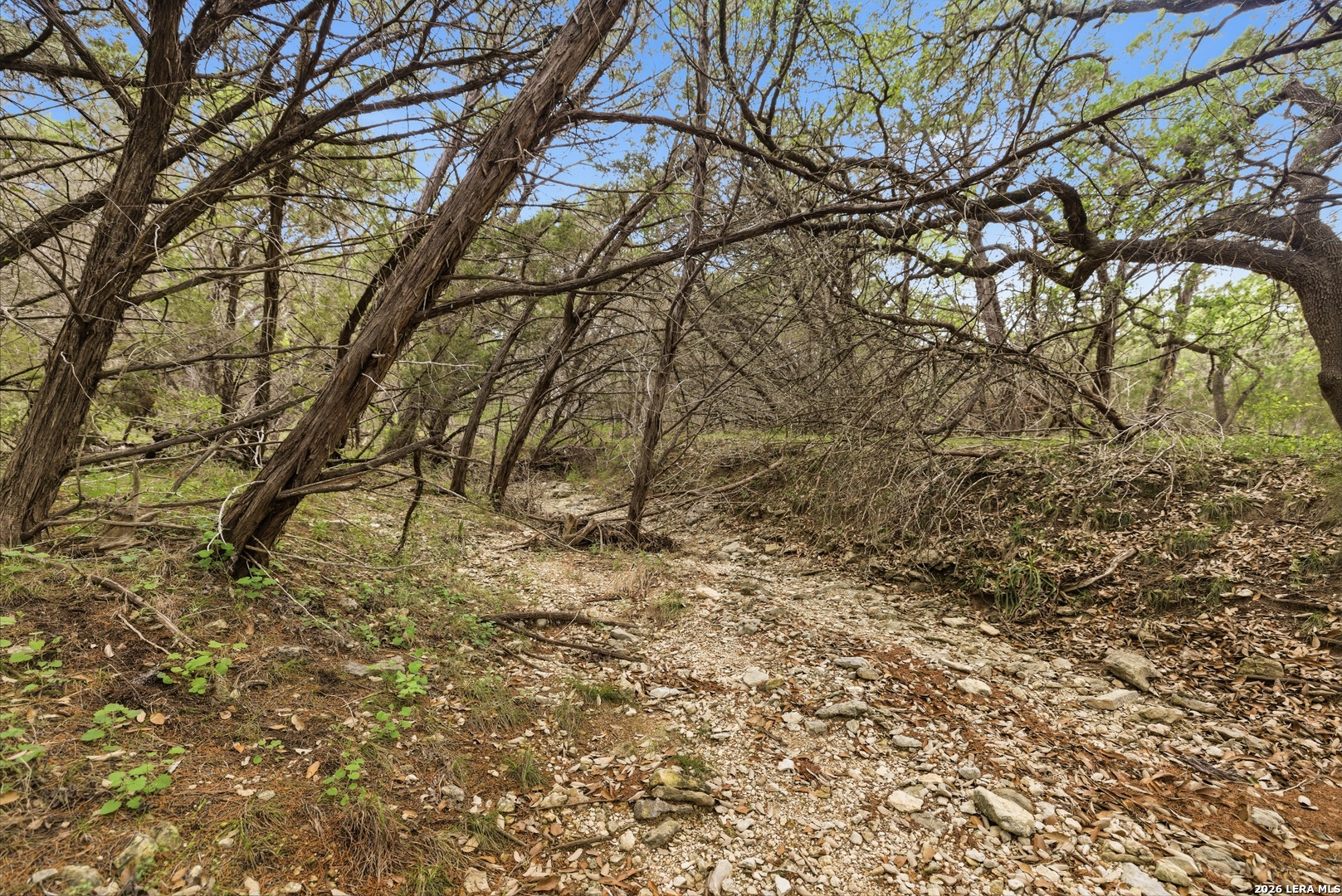290/TBD Madrona Dr/ Madrona Pass New Braunfels TX 78132