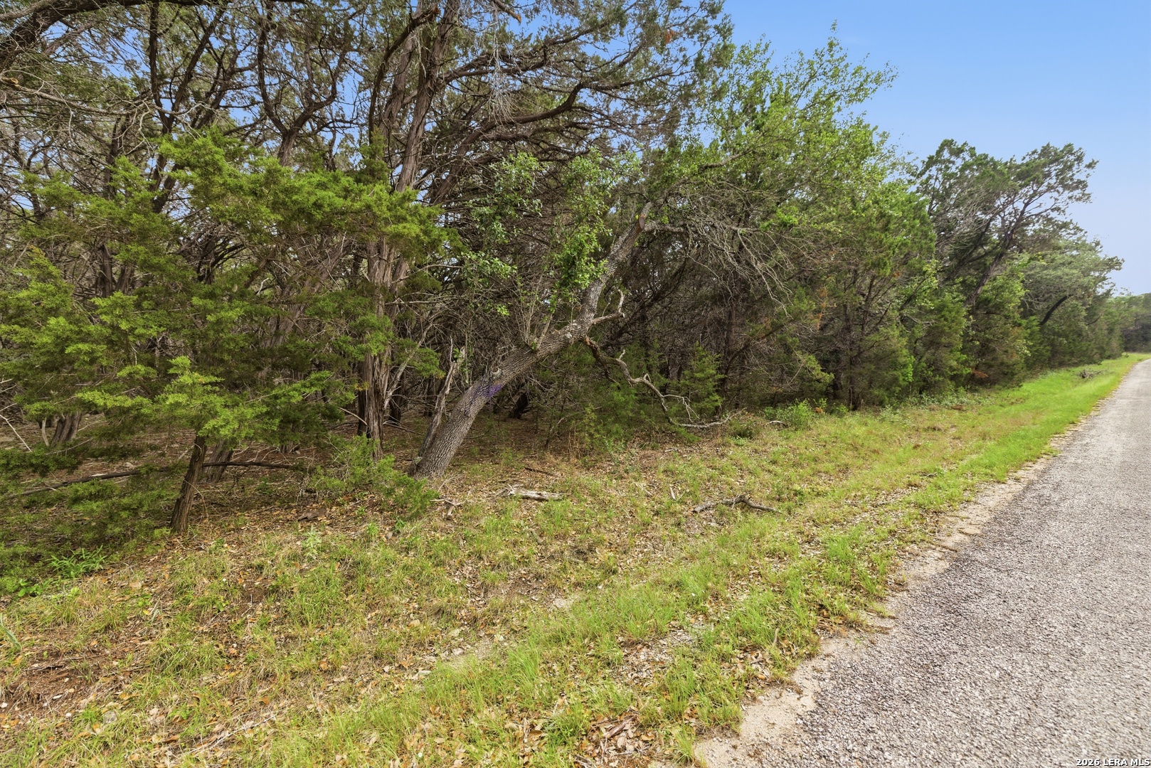 290/TBD Madrona Dr/ Madrona Pass New Braunfels TX 78132
