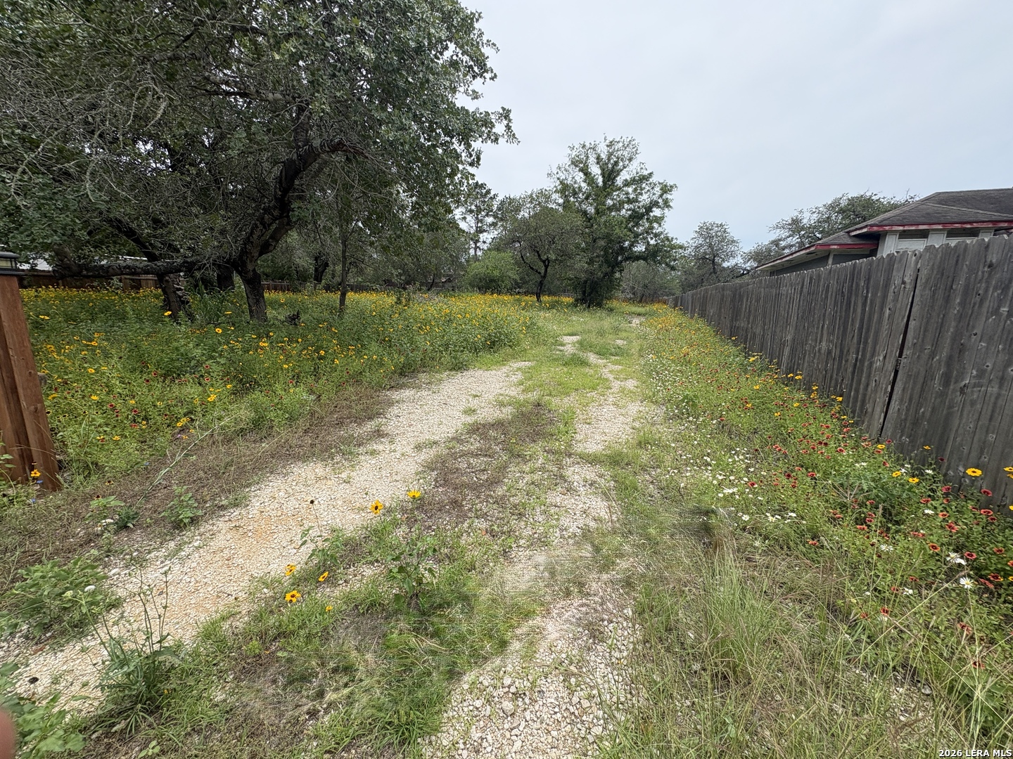 22847 Black Cherry Elmendorf TX 78112