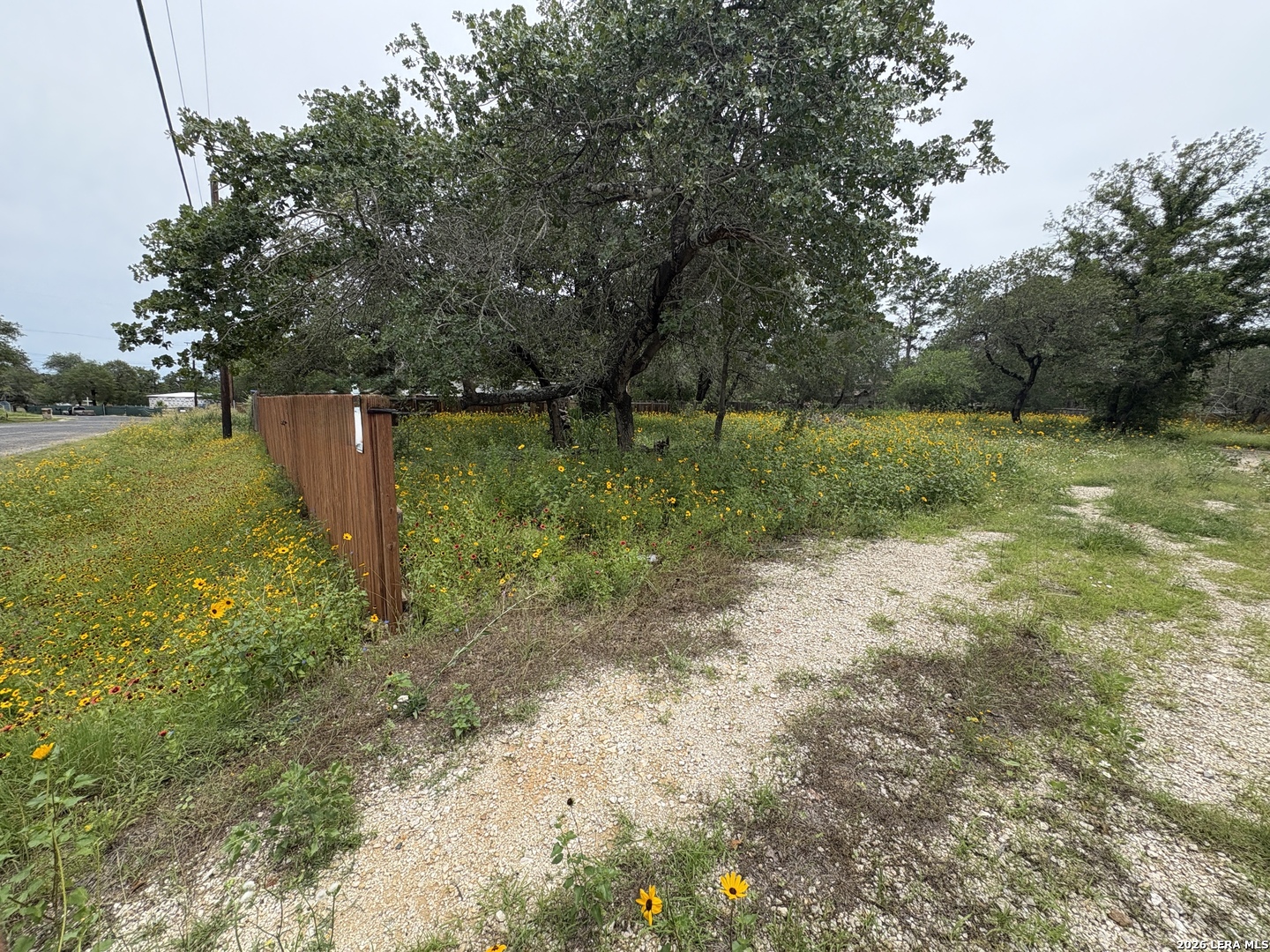 22847 Black Cherry Elmendorf TX 78112
