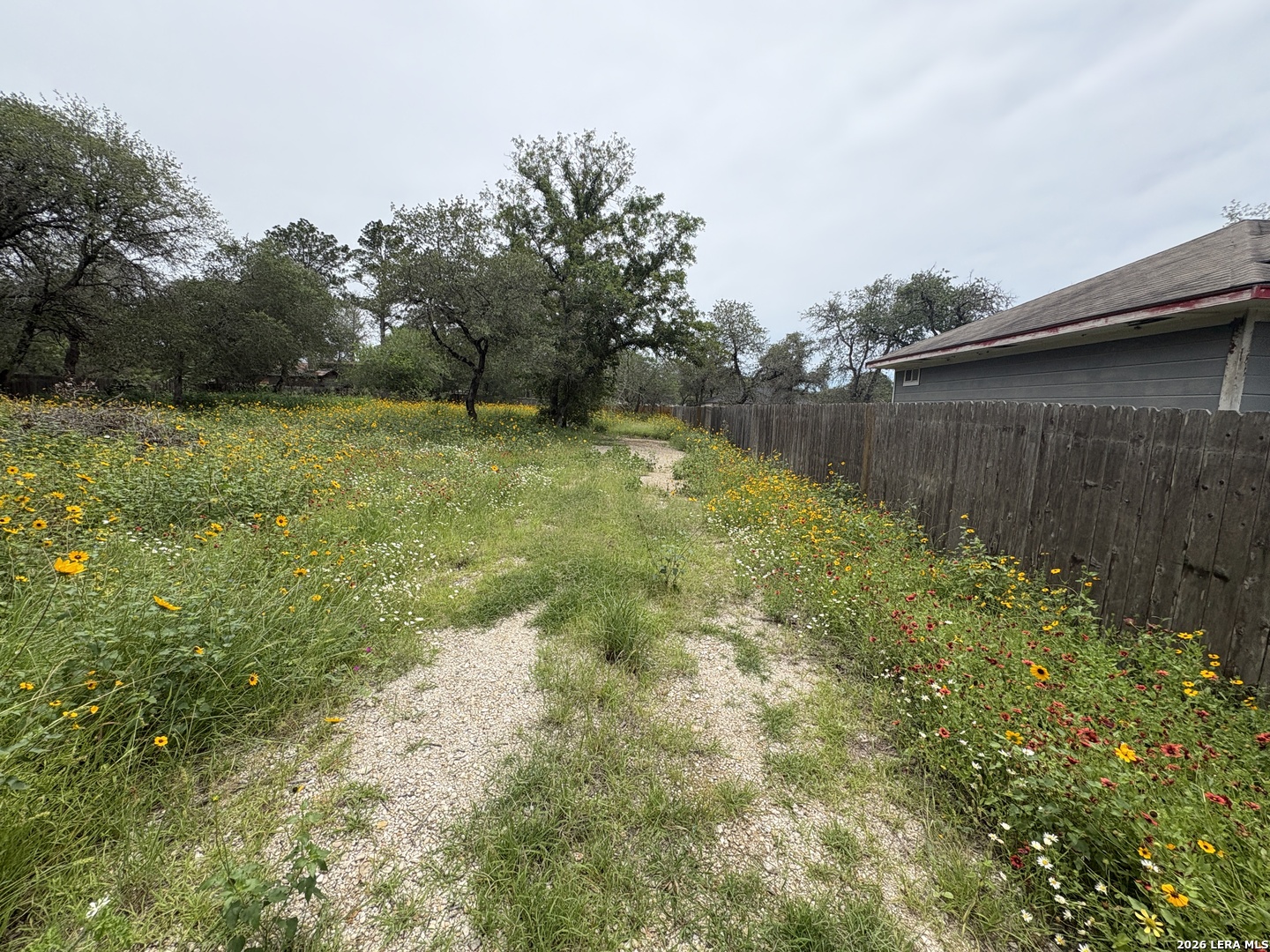 22847 Black Cherry Elmendorf TX 78112