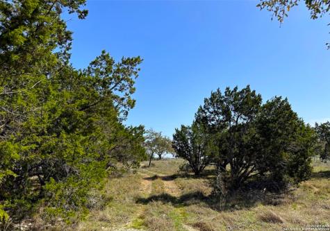 2154 Alto Lago Canyon Lake TX 78133