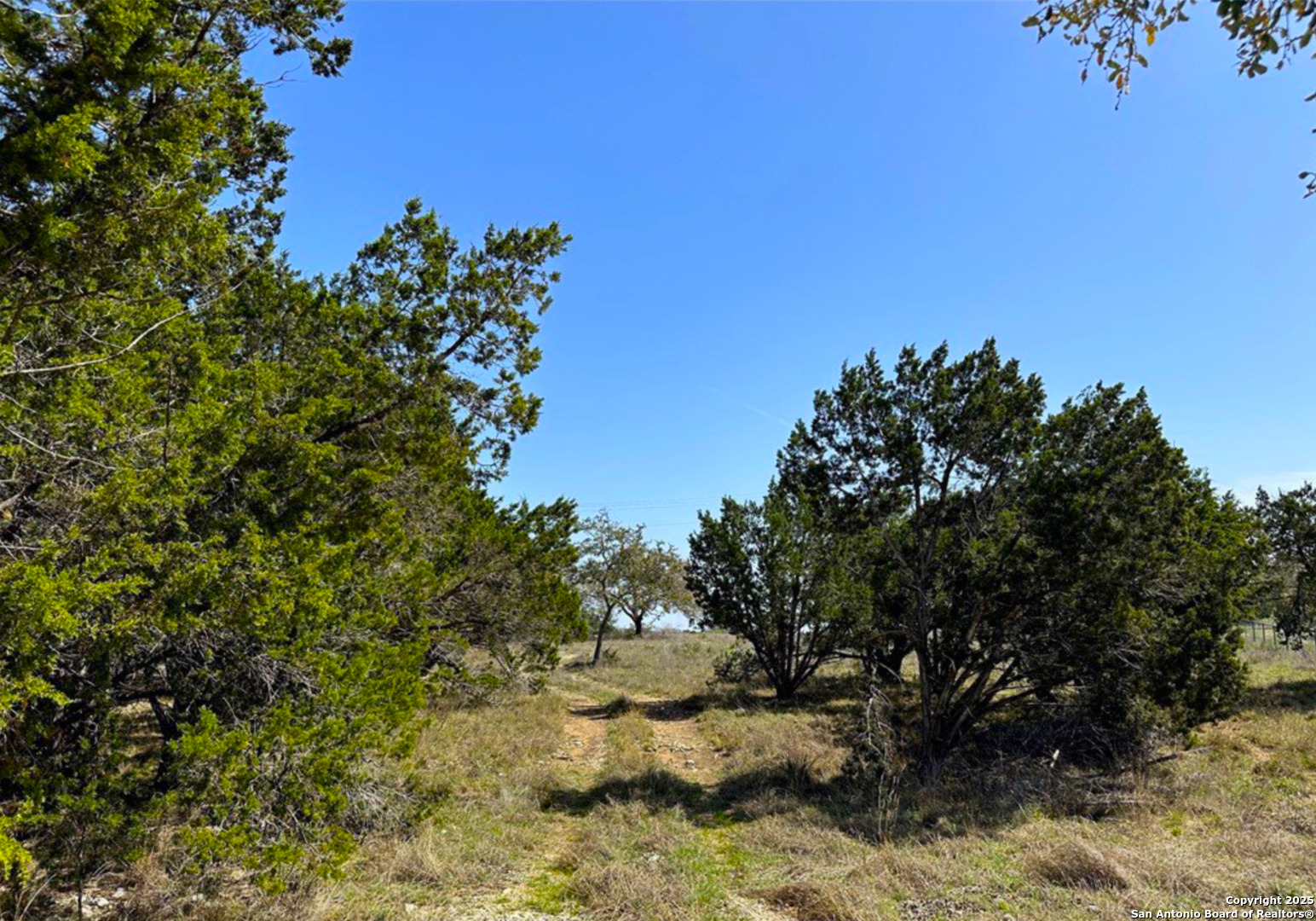 2154 Alto Lago Canyon Lake TX 78133
