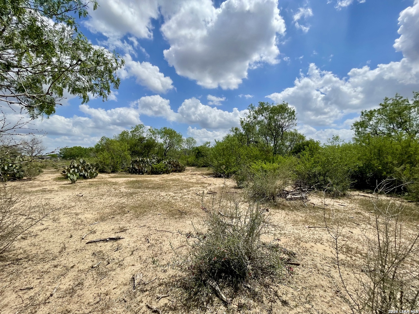 2566 Fm 539 La Vernia TX 78121