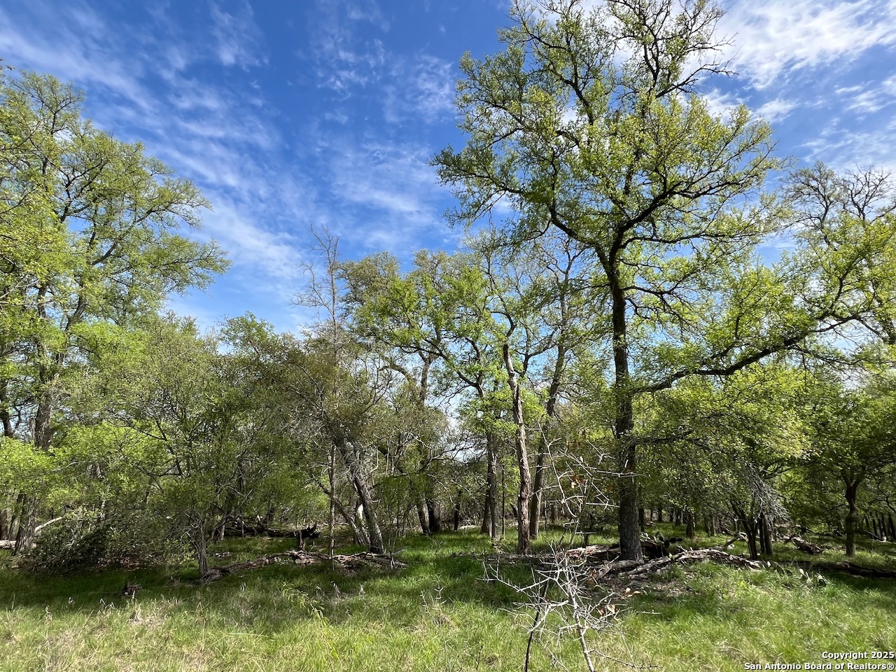 Tbd Cunningham Drive Lockhart TX 78644