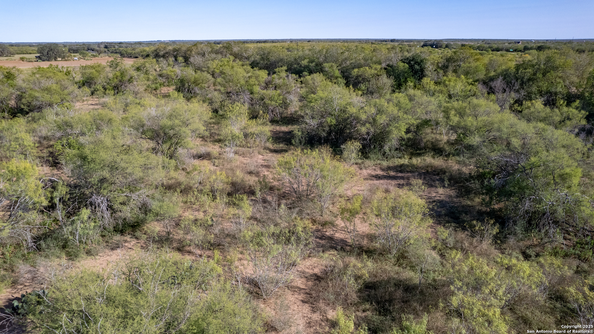 Tbd Davenport Sabinal TX 78881