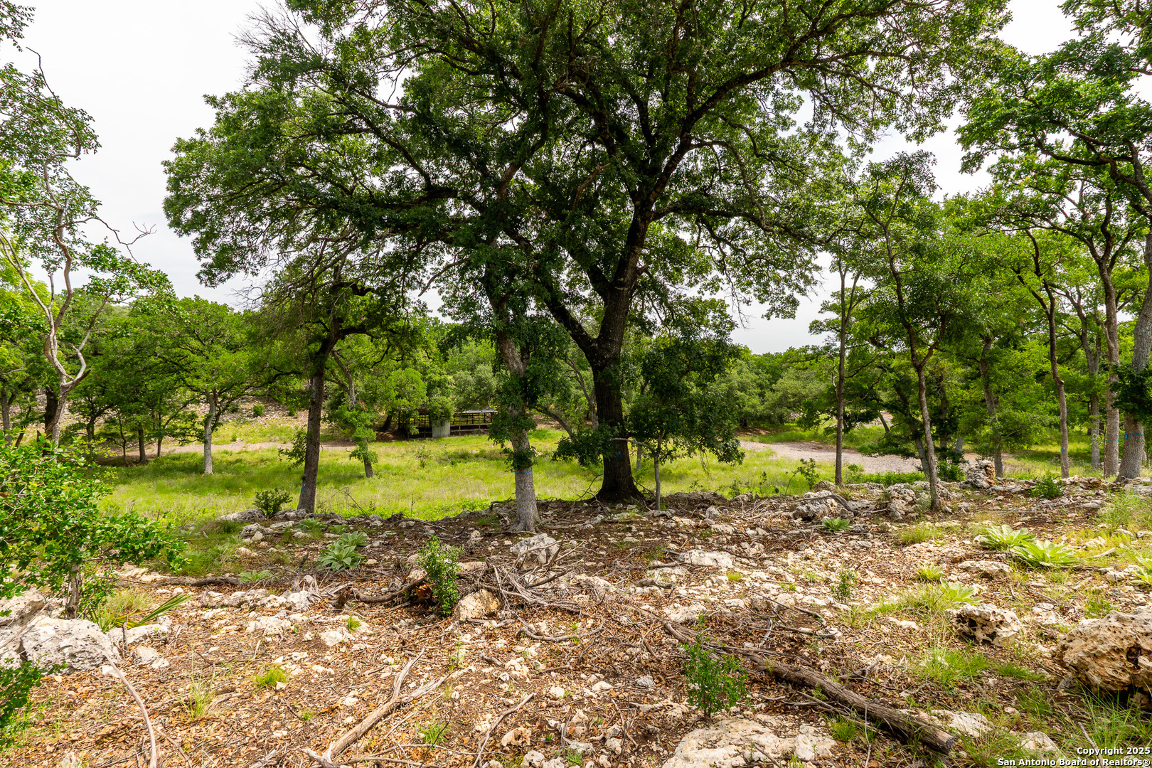 Lot 9 Cielo Vista Boerne TX 78006