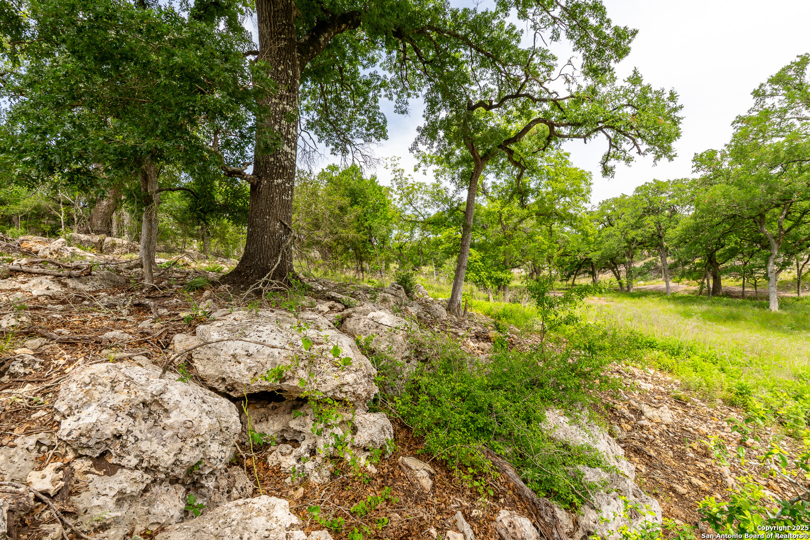 Lot 9 Cielo Vista Boerne TX 78006