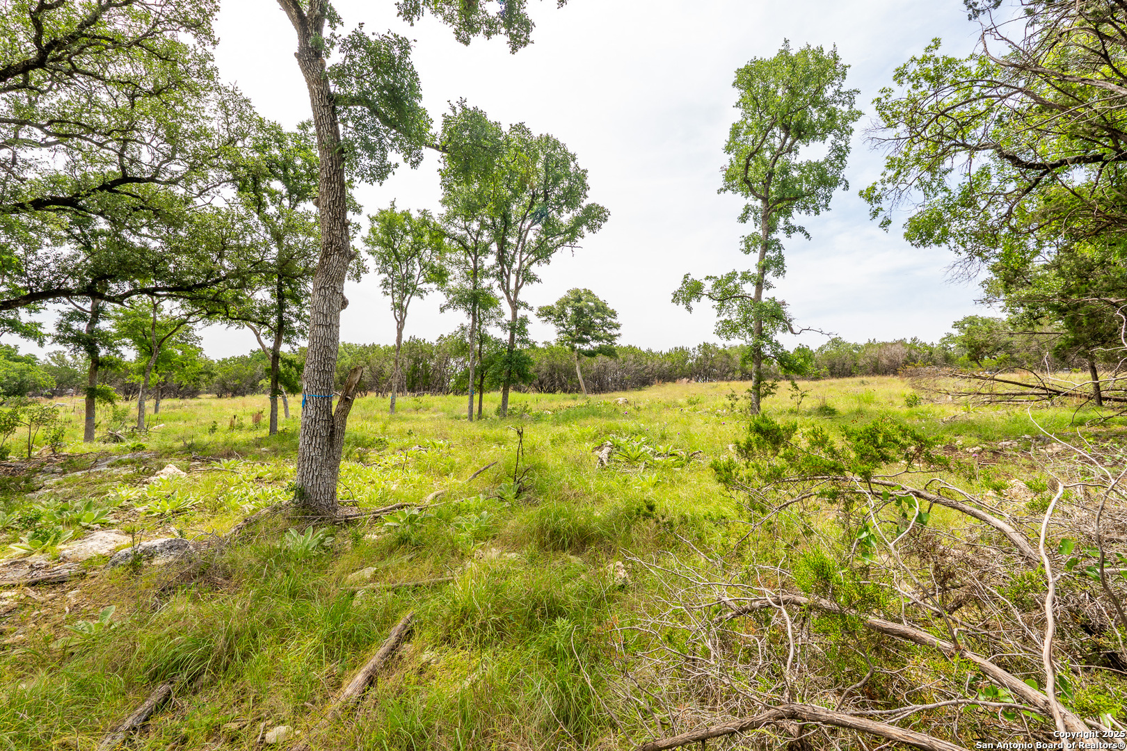 Lot 9 Cielo Vista Boerne TX 78006