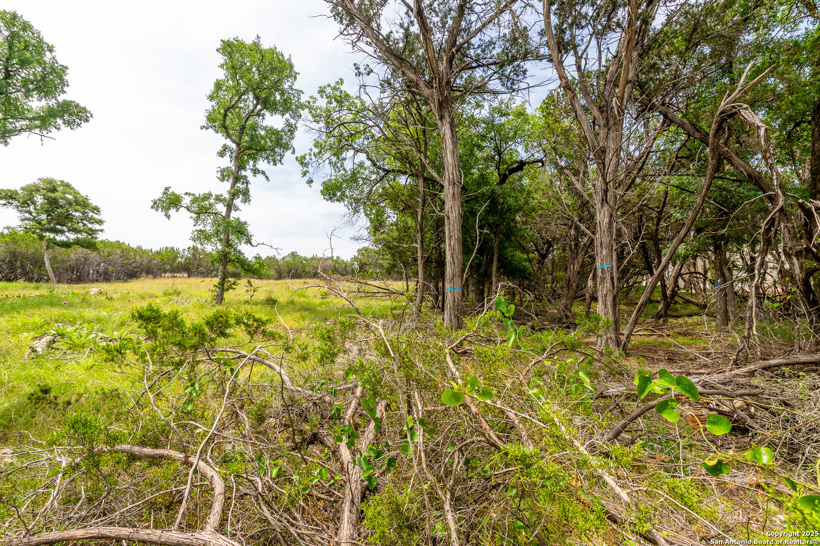 Lot 9 Cielo Vista Boerne TX 78006