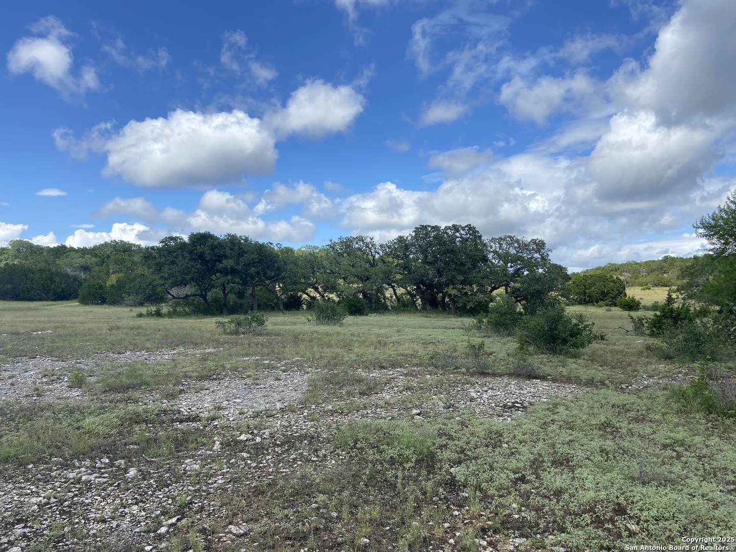 1629 Canyon Spring Branch TX 78070