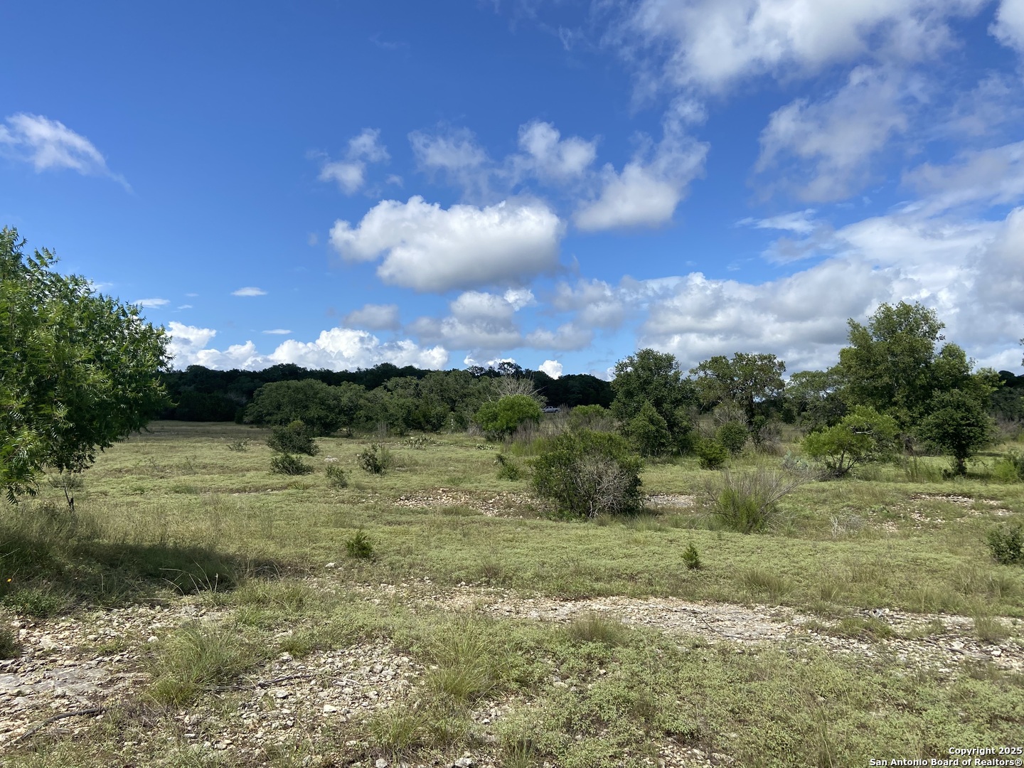 1629 Canyon Spring Branch TX 78070