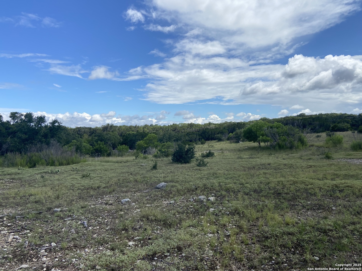 1629 Canyon Spring Branch TX 78070