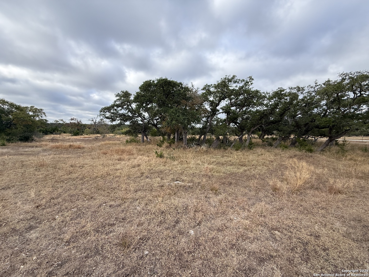 1629 Canyon Spring Branch TX 78070